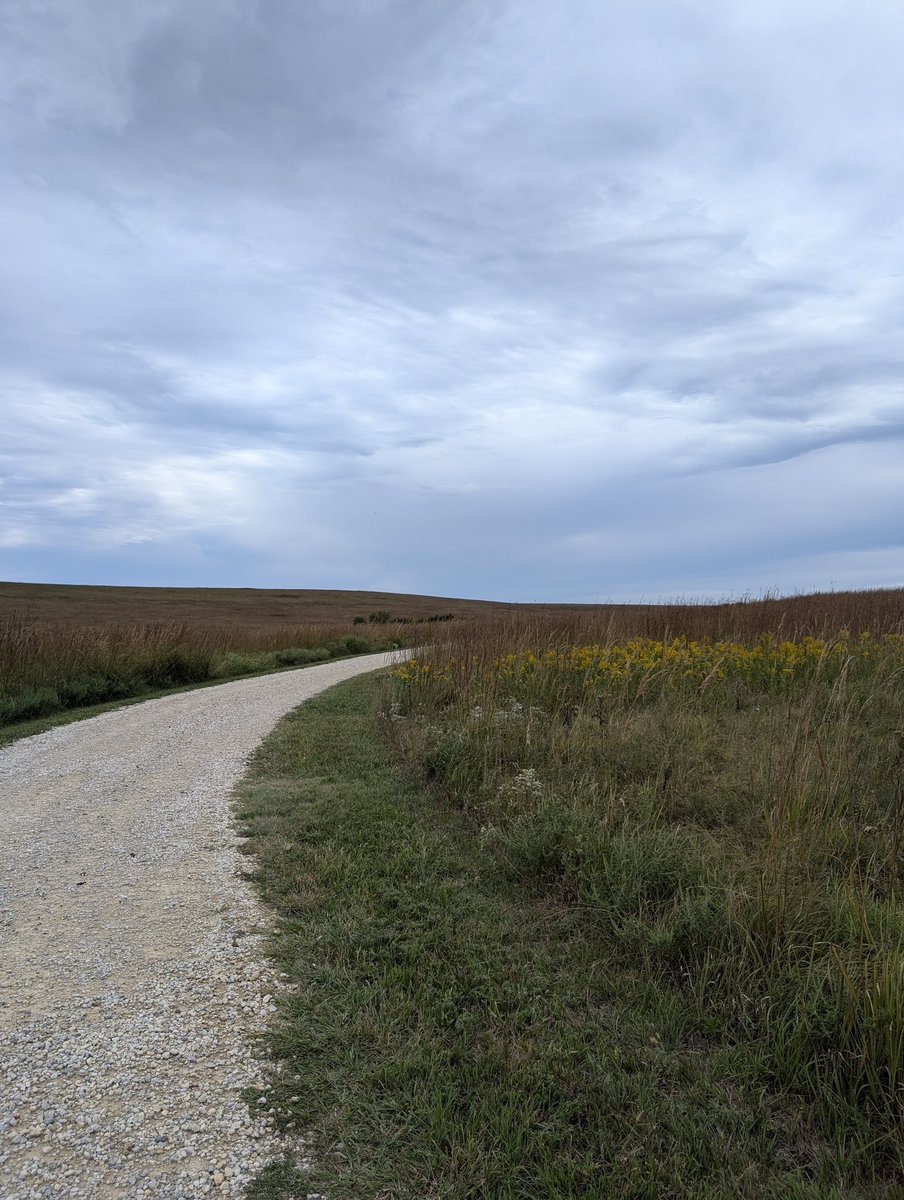 Hey #traveltribe been MIA cuz on a big Midwest #roadTrip! Toured the SE with <a href="/TravelKS/">TravelKS</a>. 1st time in #Kansas &amp; it's beautiful 😍

<a href="/TravelFoodiesTV/">Lori ♥ Influencer Brand Creator</a> <a href="/suziday123/">Suzi Day</a> <a href="/LindaPeters64/">Linda</a> <a href="/LiveaMemory/">Live a Memory</a>  <a href="/MamaO_GO/">Mama O</a> <a href="/JulesHalvy/">Julie H</a> <a href="/SonjaSwissLife/">Sonja Holverson</a>