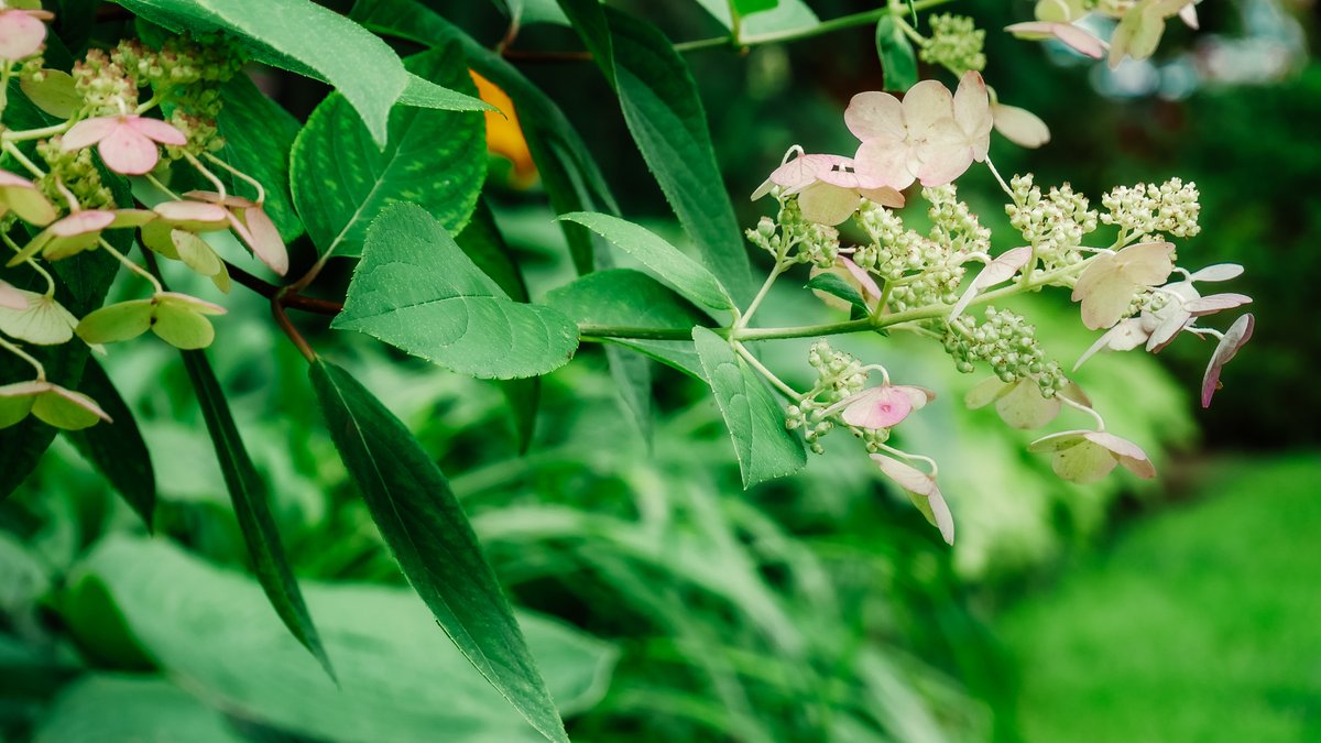 MWRD Commissioner Daniel Pogorzelski tweet media