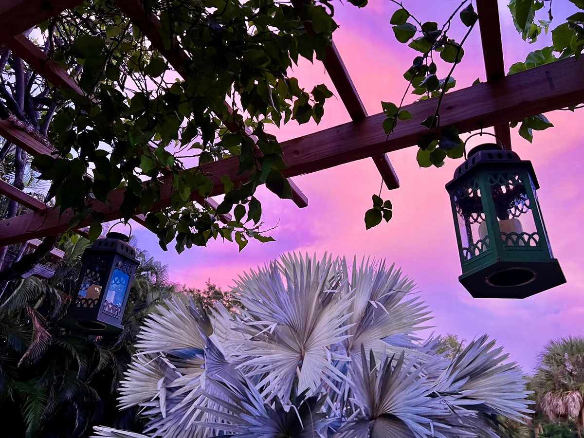 DocMassnick's tweet image. Last night, shadows danced in depths profound,  Tonight, the vastness whispers, unfathomable sound.  

In the stillness, my heart poses a query,  
“Why?” echoes softly, wrapped in mystery dreary. Are there secrets concealed in the celestial sphere,  
Clues of the cosmos that draw…