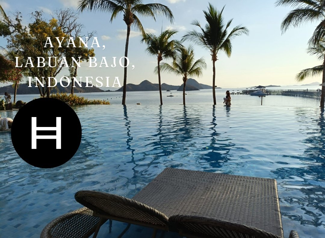 CryptoPublicID's tweet image. HBAR HEDERA
#HBAR
at Labuan Bajo, Indonesia
#Bitcoin
#UNVR
#MBMA
#GOTO
#PGEO