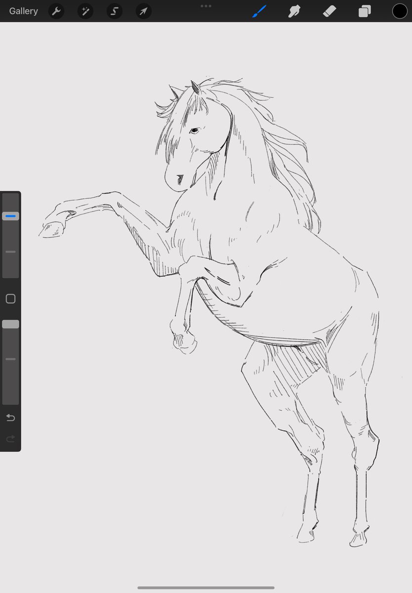 Spin______'s tweet photo. Horsin’ ar- horsi- ho- horsin’ arou- https://t.co/khFq6KfWgU