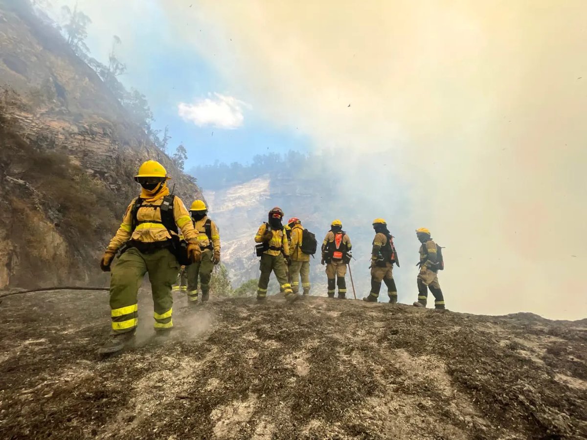 BomberosQuito's tweet photo. 👨🏼‍🚒 #GRACIAS | Hoy cerramos las operaciones en el Puesto de Mando Unificado que se estableció para atender los incendios forestales que se registraron en los sectores de Guápulo, Parque Metropolitano y cerro Auqui. Queremos hacer un reconocimiento especial a todas las instituciones que han sido parte de esta planificación y gestión operativa. 

❤️ Un agradecimiento sincero a los quiteños y quiteñas que han estado a nuestro lado, apoyando a este Cuerpo de Bomberos que les pertenece.
 
👨‍🚒 Garantizamos que, en el futuro, seguiremos velando por su seguridad.
 
🙌 Gracias por su confianza y recuerden: el Cuerpo de Bomberos de Quito siempre estará aquí para ustedes.

#SalvamosVidas
#BomberosEcuador