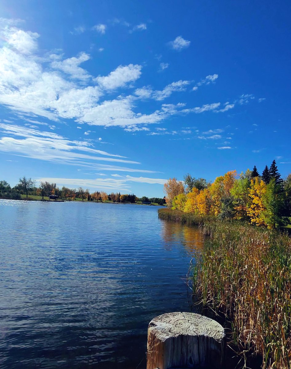 FforFlo's tweet image. Fresh air, blue skies and sunshine 
#metaview #metaglasses #raybanmeta