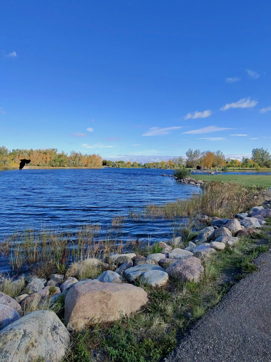 FforFlo's tweet image. Fresh air, blue skies and sunshine 
#metaview #metaglasses #raybanmeta