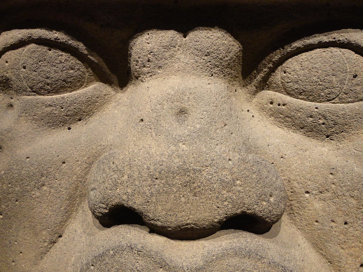 panda_profesor's tweet image. La escultura #olmeca es espectacular! 
Cabezas, tronos y esculturas de gran formato se han recuperado de los pocos sitios olmecas que conocemos en #Tabasco y #Veracruz 
Algunos temas son recurrentes, como el poder, el jaguar y la trasformación del hombre en felino.
#arqueologia