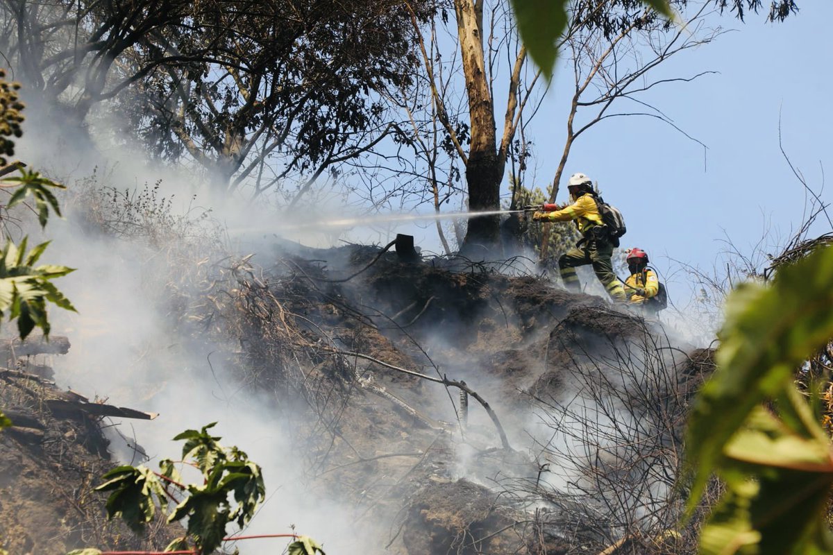 Esteban Cárdenas Varela tweet media