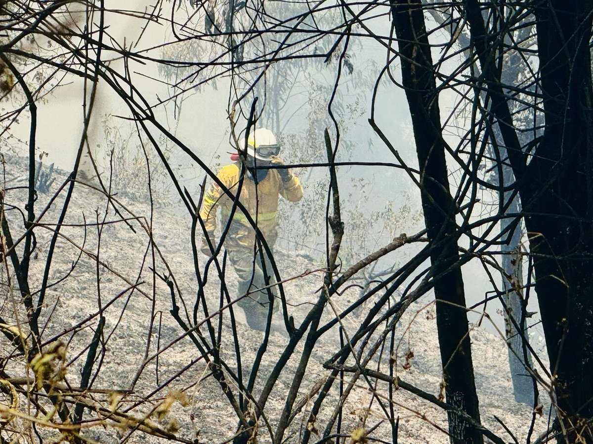 Esteban Cárdenas Varela tweet media