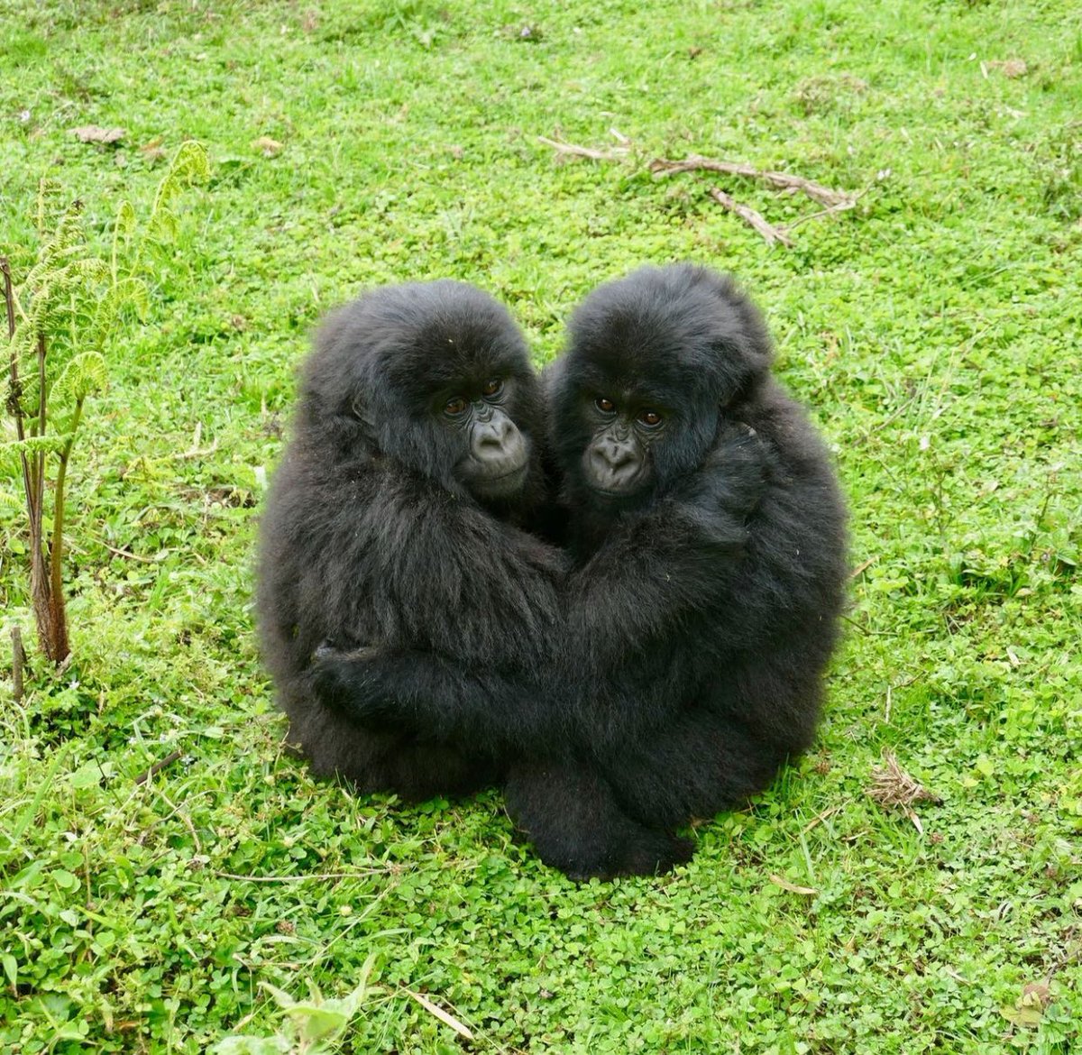 eat5G's tweet image. 