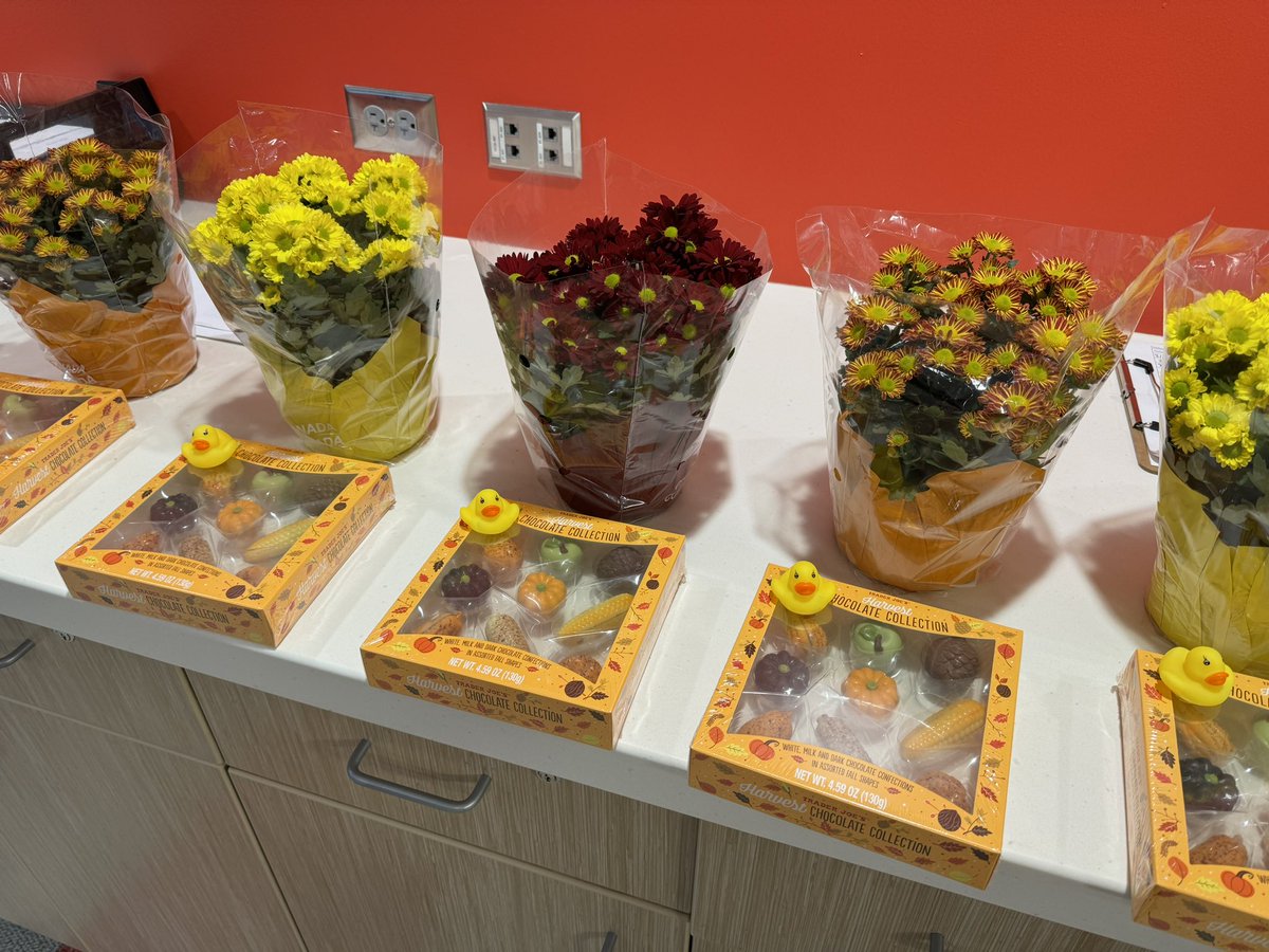 AnnieOrlov's tweet image. It was a fun Friday at Northwood! Staff entered a raffle by selecting a lucky duck, and enjoyed good laughs and prizes! Huge shout out to @MissBarba1 for organizing this! @nwhuskies #112leads