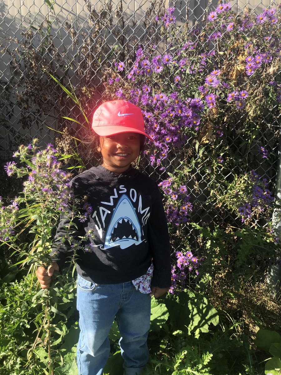 MrsHicksRECE's tweet photo. Wildflower Inspirational Art 🖼️ ♥️
Our students observed these beautiful wildflowers growing in our playground. We brought them into our classroom and they provided some inspiration for our creativity!
#processbasedart
@BernadetteOCSB https://t.co/BNSrUPy5lN