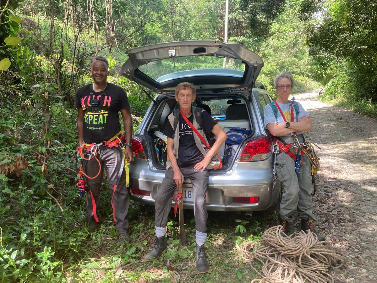 RoostersWorldja's tweet photo. My office is out in the wild looking for cool creatures with fellow naturalists.
What is your favorite place?
#Roostersworldja
#Jamaica
#Biologist
#Cavers https://t.co/uYYJIMcLrQ