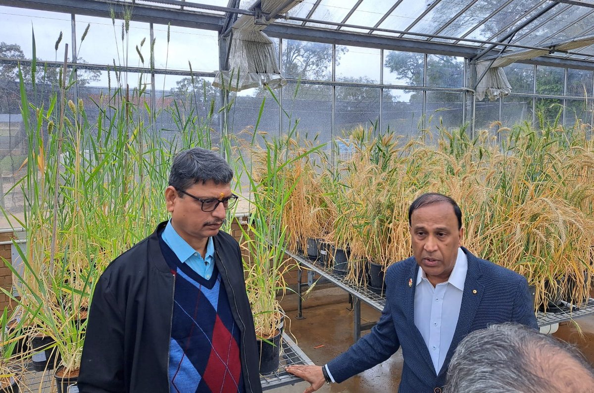 Jyoti (@jyoti_pgr) on Twitter photo Had a wonderful and memorable visit # University of Western Australia, Perth Campus. Thanks to <a href="/KadambotS/">Kadambot Siddique</a> <a href="/IOA_UWA/">The UWA Institute of Agriculture</a> <a href="/INbpgr/">ICAR-NBPGR</a> Had a wonderful and memorable visit # University of Western Australia, Perth Campus. Thanks to <a href="/KadambotS/">Kadambot Siddique</a> <a href="/IOA_UWA/">The UWA Institute of Agriculture</a> <a href="/INbpgr/">ICAR-NBPGR</a>