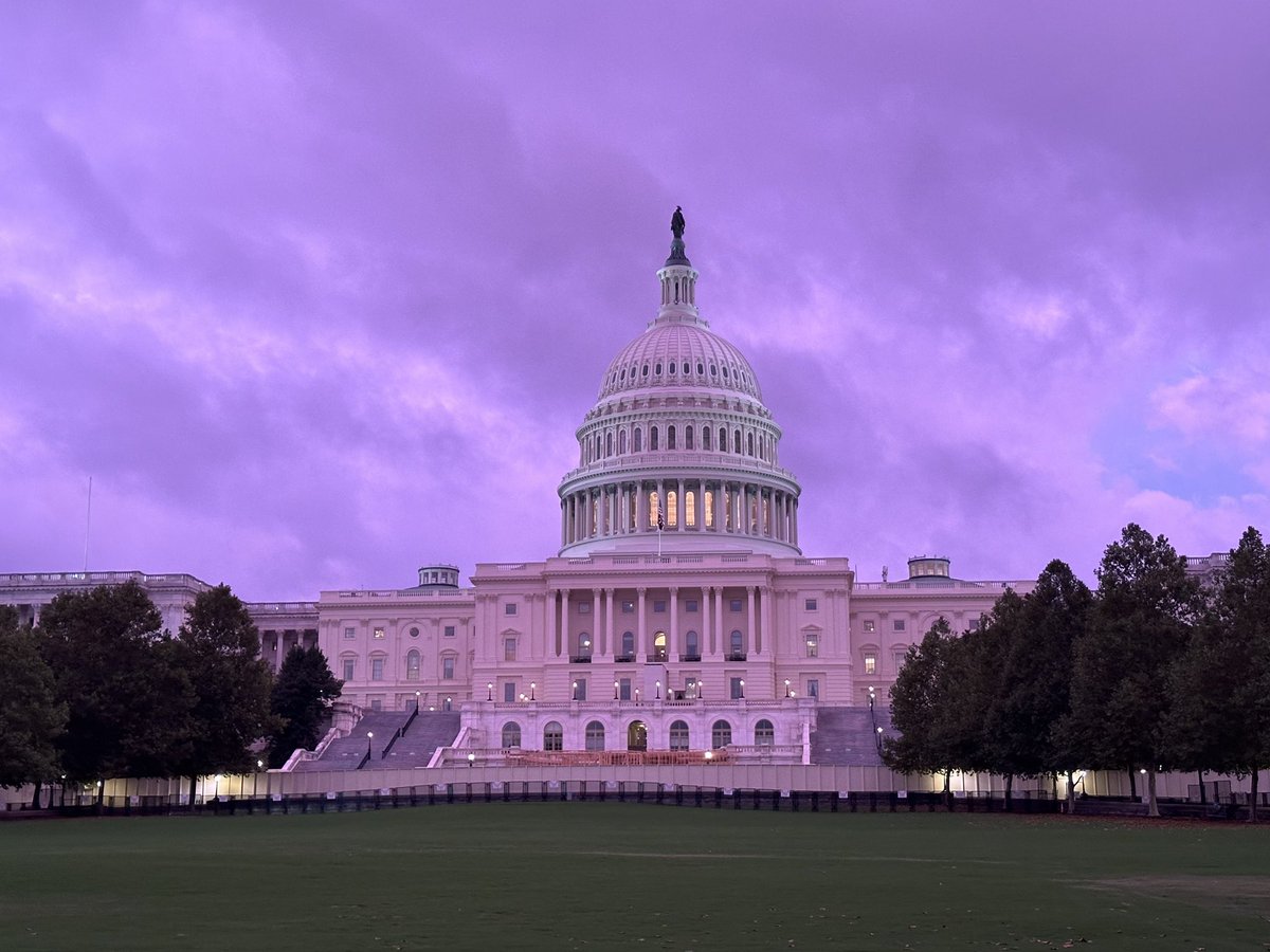 Maureen Cohen Harrington tweet media