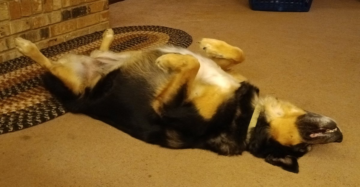 Relaxing on a Friday night