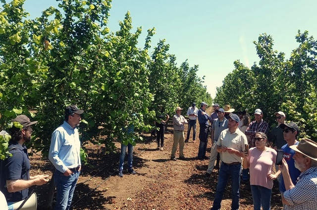 ChillanOnline's tweet image. Durante dos días Chillán será la capital mundial del Control Biológico y de los Bioinsumos chillanonline.cl/V7/2024/09/27/… a través de @CHILLANONLINE