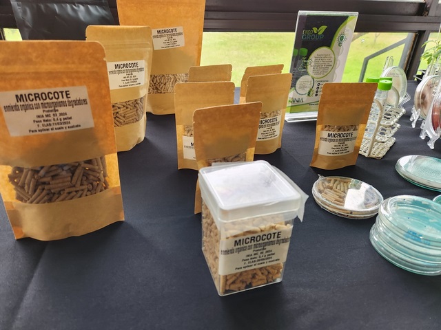 ChillanOnline's tweet image. Durante dos días Chillán será la capital mundial del Control Biológico y de los Bioinsumos chillanonline.cl/V7/2024/09/27/… a través de @CHILLANONLINE