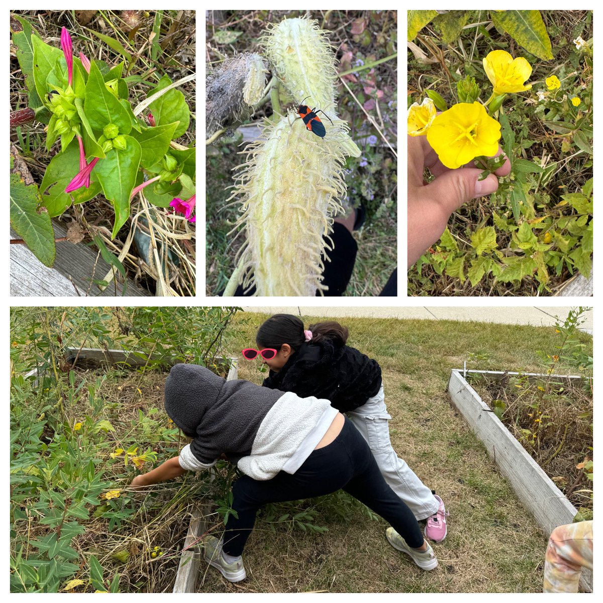 Melissa Eaton tweet media