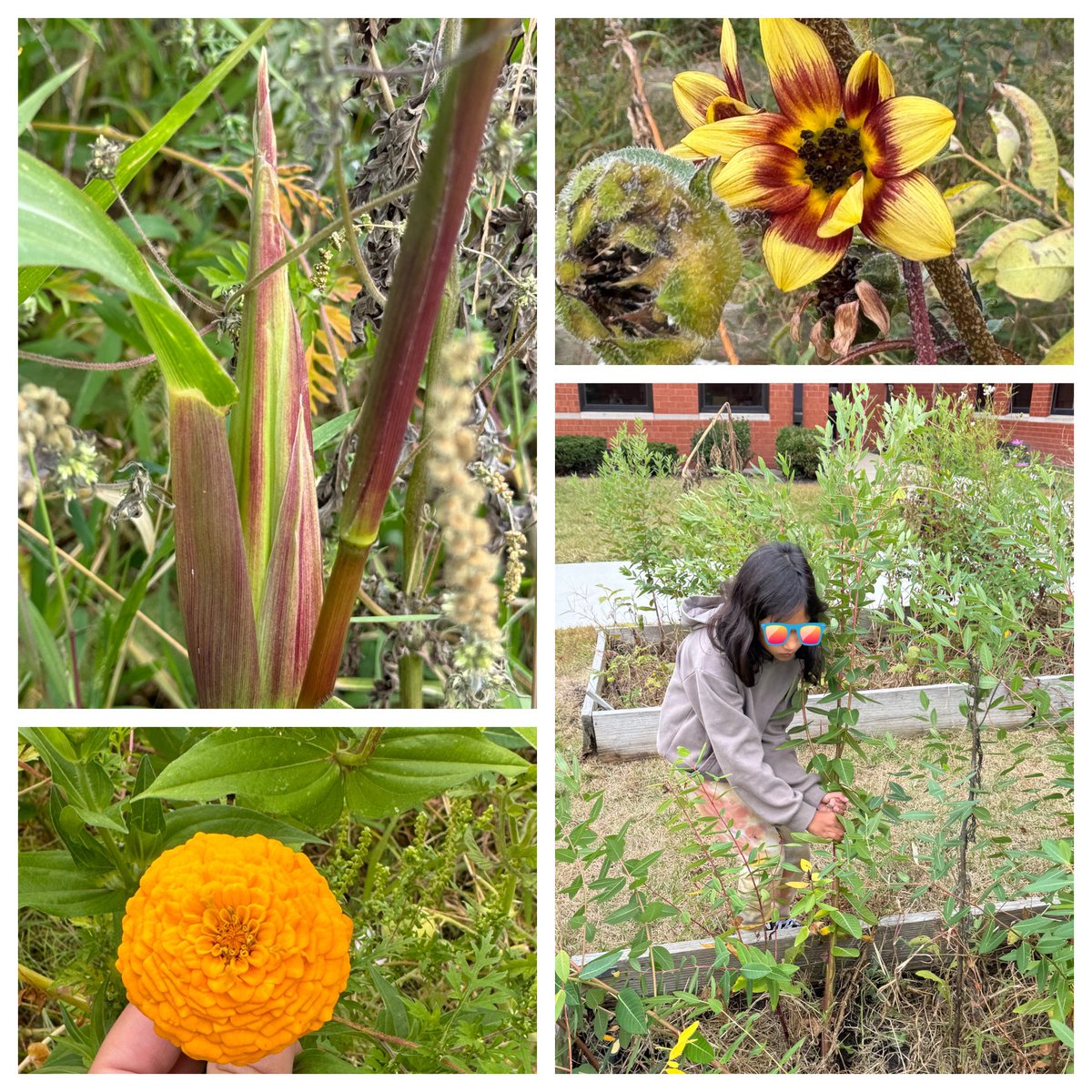 Melissa Eaton tweet media