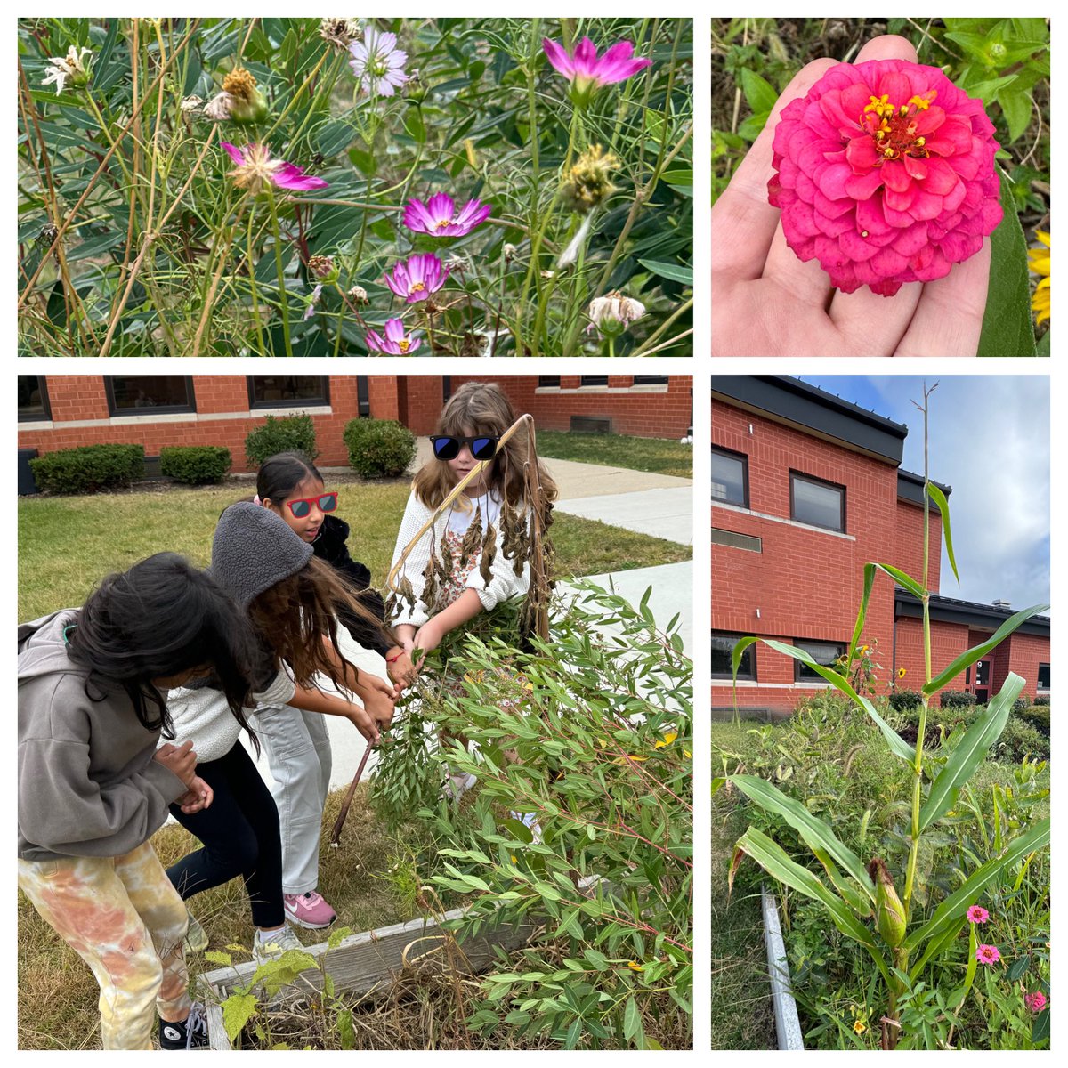 Melissa Eaton tweet media