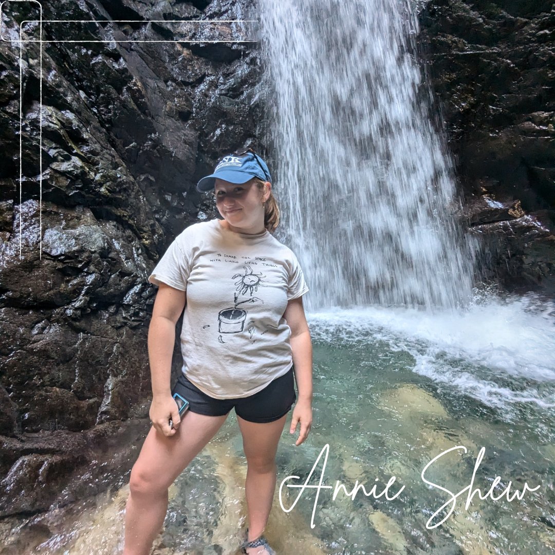 UNK Bands tweet media