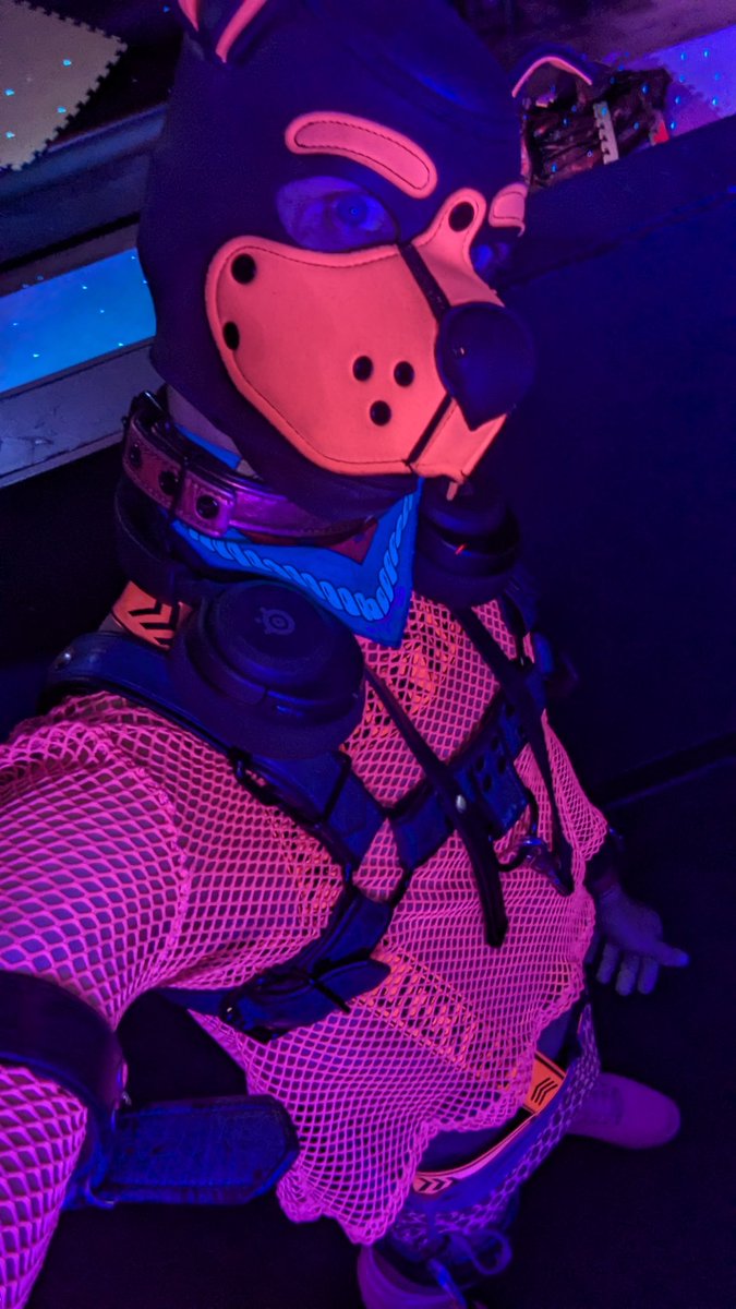 FoxxxPupRay's tweet photo. Ahem... Pink glow puppy and you better like it, or gtfo my page lol. Im kidding i love u all, haters and fans

#foxpupray #foxpup #hellfox https://t.co/zceg3icWRv