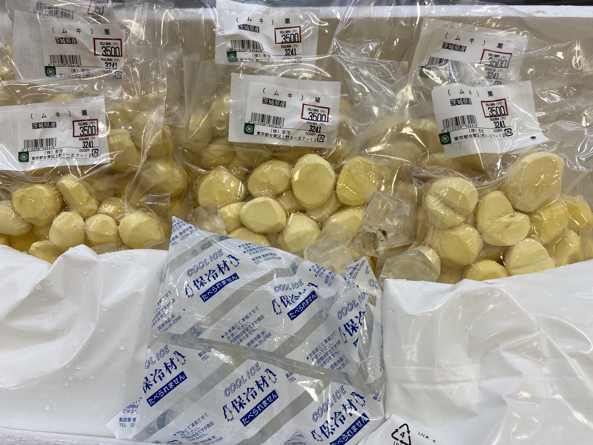 茨城県産 剥き栗 専用