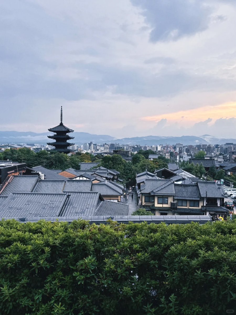 エイミー tweet media