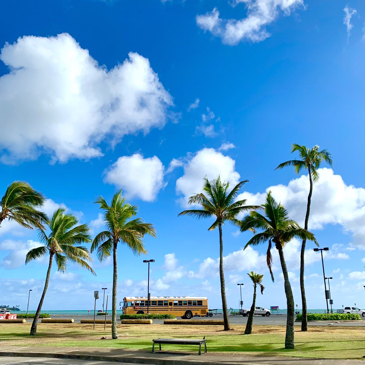 mimihawaiilife's tweet photo. Have a wonderful weekend🌈🤗🌴
素敵な週末を〜😆🎶
#アロハフライデー #週末 #ホノルル #アロハライフ #ハワイ大好き #ハワイライフ #ハワイ生活 #ハワイ暮らし #島暮らし
#alohafriday #happyweekend #hawaiilife #islandlife #luckywelivehawaii #hilife #hawaiilove #weekend #alohalife https://t.co/WLDiVAi5te