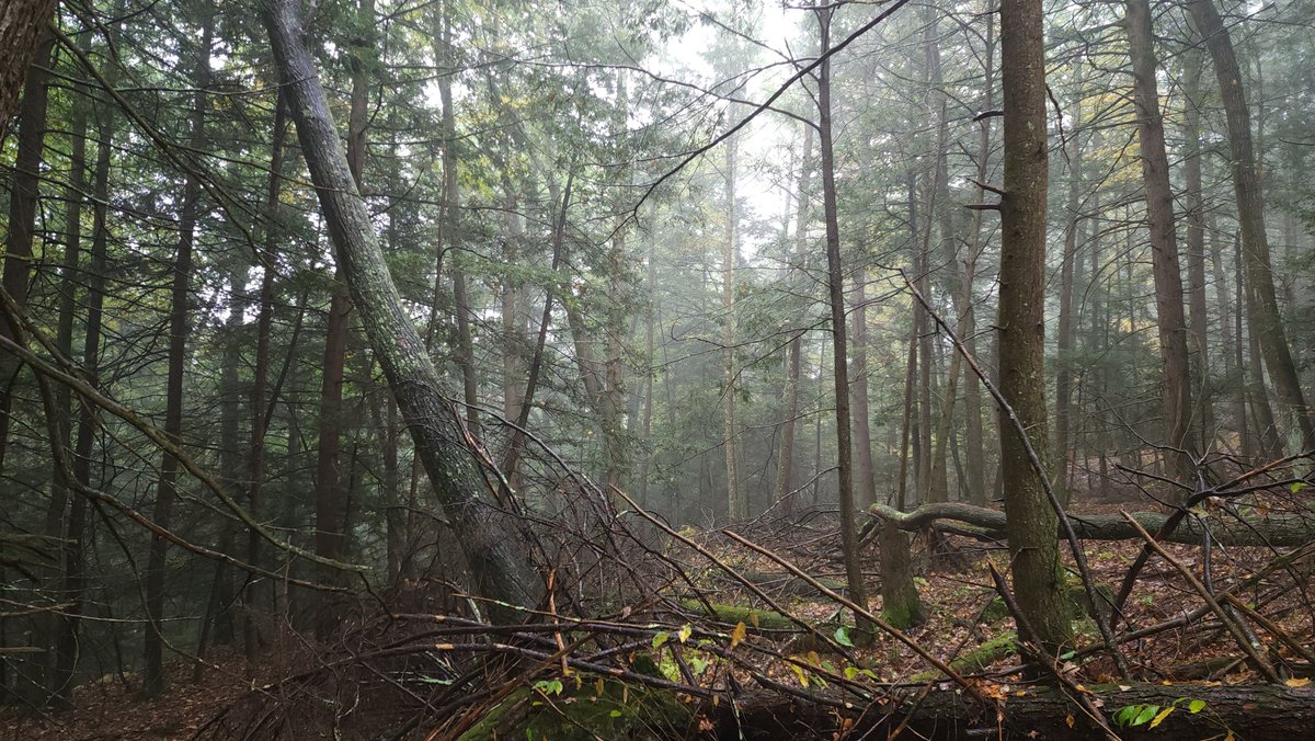 PowderHollowStudios tweet media