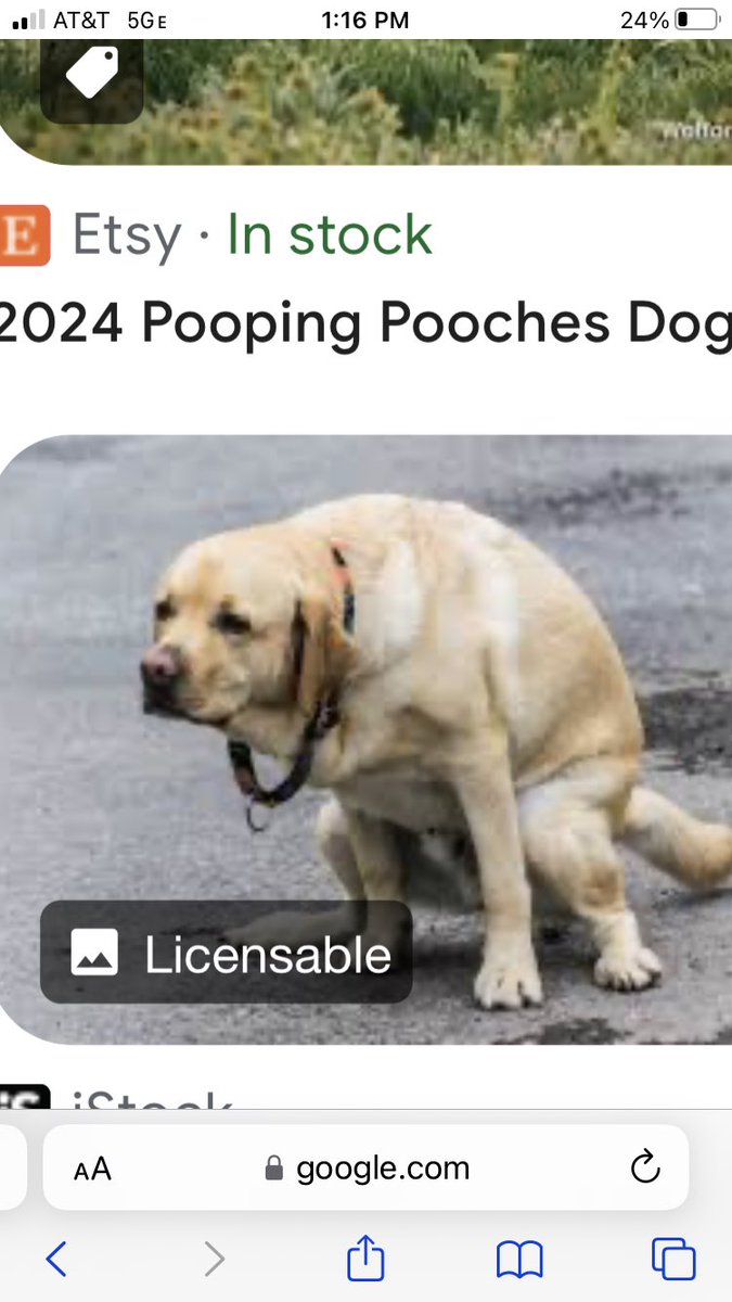 HVladamier's tweet image. 🤷🏻‍♂️  #LockEmALLUp 
Negros Firstest!   🤷🏻‍♂️