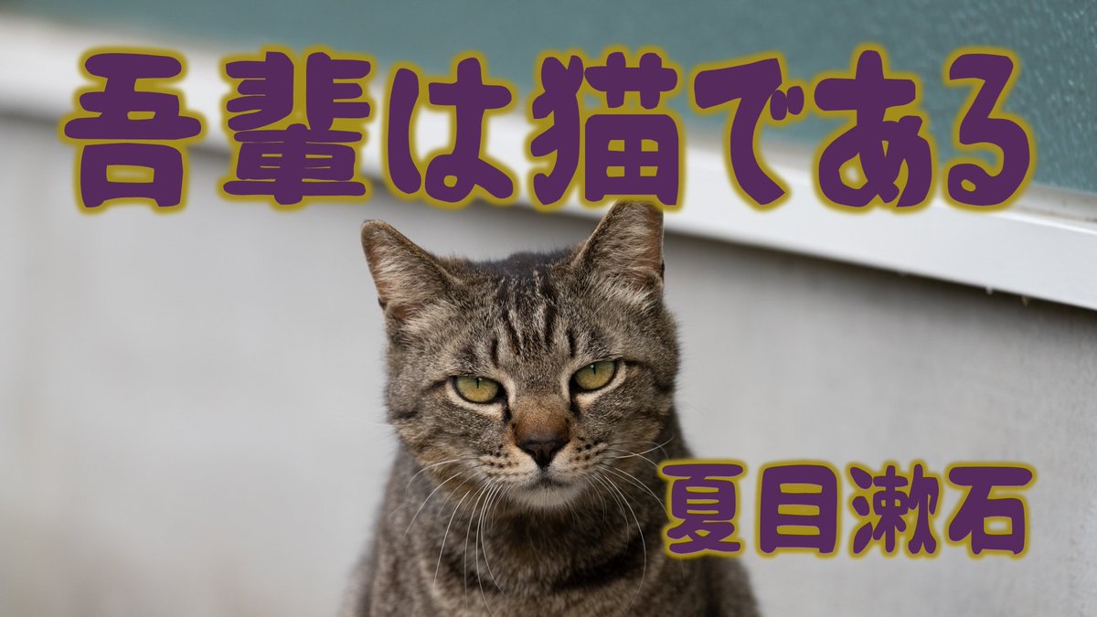 Youtubeに朗読をアップしました。よろしかったら聴いてください。吾輩が珍野家に迷い込み住み着くまでを朗読しました。

youtu.be/yrA-8BbqRNQ

#夏目漱石 #吾輩猫である #朗読 #朗読配信 #語り #青空文庫 #朗読好き #朗読好きと繋がりたい