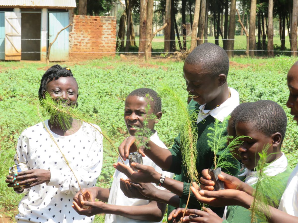 EcoaceOrg's tweet photo. Youths in Kimilili are leading the way in shaping a sustainable future through environmental conservation and restoration. By actively planting trees in schools, churches, mosques, 

#EcoAceOrgKimilili #EcoAceOrg #EnvironmentalCare #TreesForEarth https://t.co/iNGKIaxJ9c
