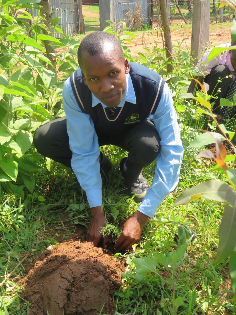 EcoaceOrg's tweet photo. Youths in Kimilili are leading the way in shaping a sustainable future through environmental conservation and restoration. By actively planting trees in schools, churches, mosques, 

#EcoAceOrgKimilili #EcoAceOrg #EnvironmentalCare #TreesForEarth https://t.co/iNGKIaxJ9c