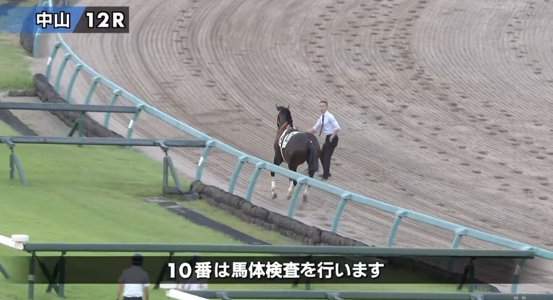 umauma5_20's tweet photo. 放馬した馬を捕まえようとしてるスーツの人キムテツっぽいなーと思ったらキムテツだった件。 https://t.co/8iluvPCz8v