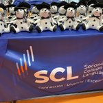 Photo by Secondary College of Languages (@SCLanguages)