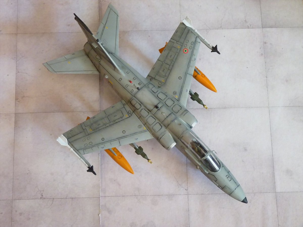 ACAM-IPMS Cataluña tweet media