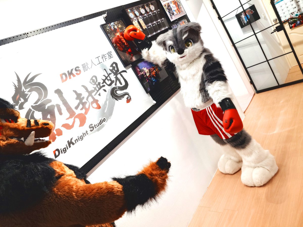 plasticer1's tweet photo. [late #FursuitFriday] Have been  successfully visiting the workshop of @DiGiKnightFF. 🥊 https://t.co/A8iOtkjqrR
