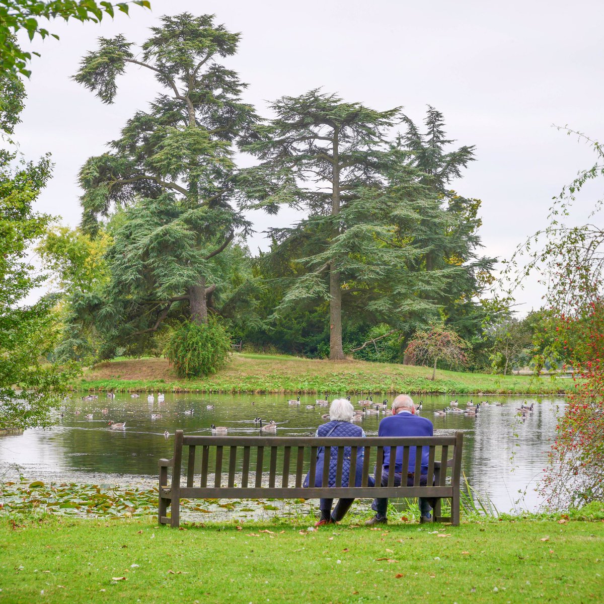 Spetchley Park tweet media