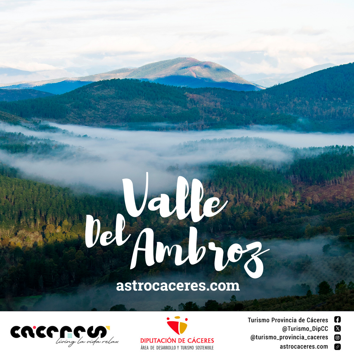 Turismo_DipCC's tweet image. 🐺Hoy, desde el Corral de los Lobos, en #LaGarganta, conectaremos con la 🍂naturaleza desde el corazón 💟 del #ValledelAmbroz gracias a #AstroCáceres2024.
astrocaceres.com
#OtoñoMágico #livinglavidarelax #TurismoSostenible #ProvinciadeCáceres #TurismoProvinciadeCáceres