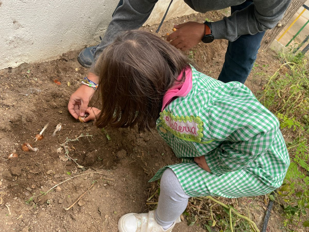 DOP Azafrán de La Mancha tweet media