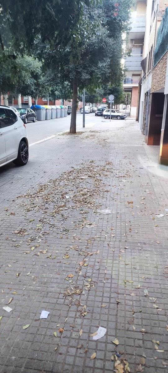 Toniborondongo2's tweet photo. Hoy aceras #RocBlanc @ecoequip @xcardona @ajterrassa https://t.co/4lZsUaoTka