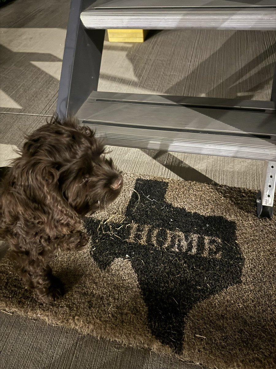 ColbyLedet's tweet photo. Welcome home Mia https://t.co/95NigebvYe