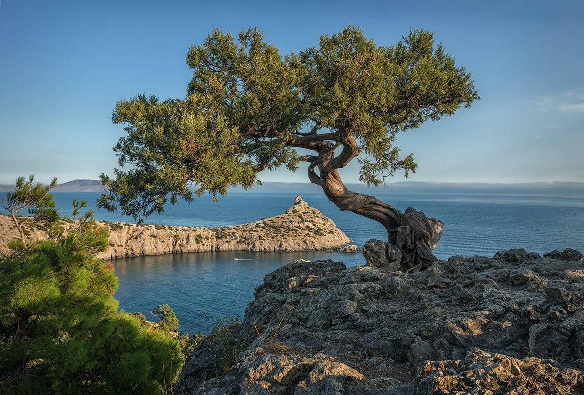 Flash_Crimea's tweet photo. Доброе утро, Крым!

Лайк — Красоте нашего полуострова! https://t.co/pUWyxh3qlA