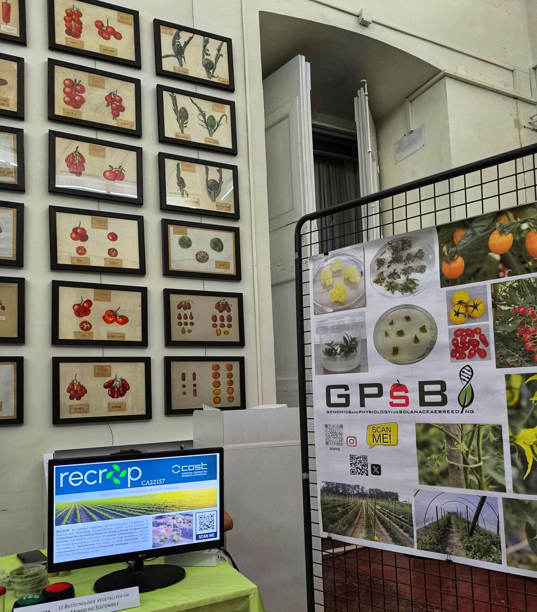 GaP4SB Laboratory tweet media