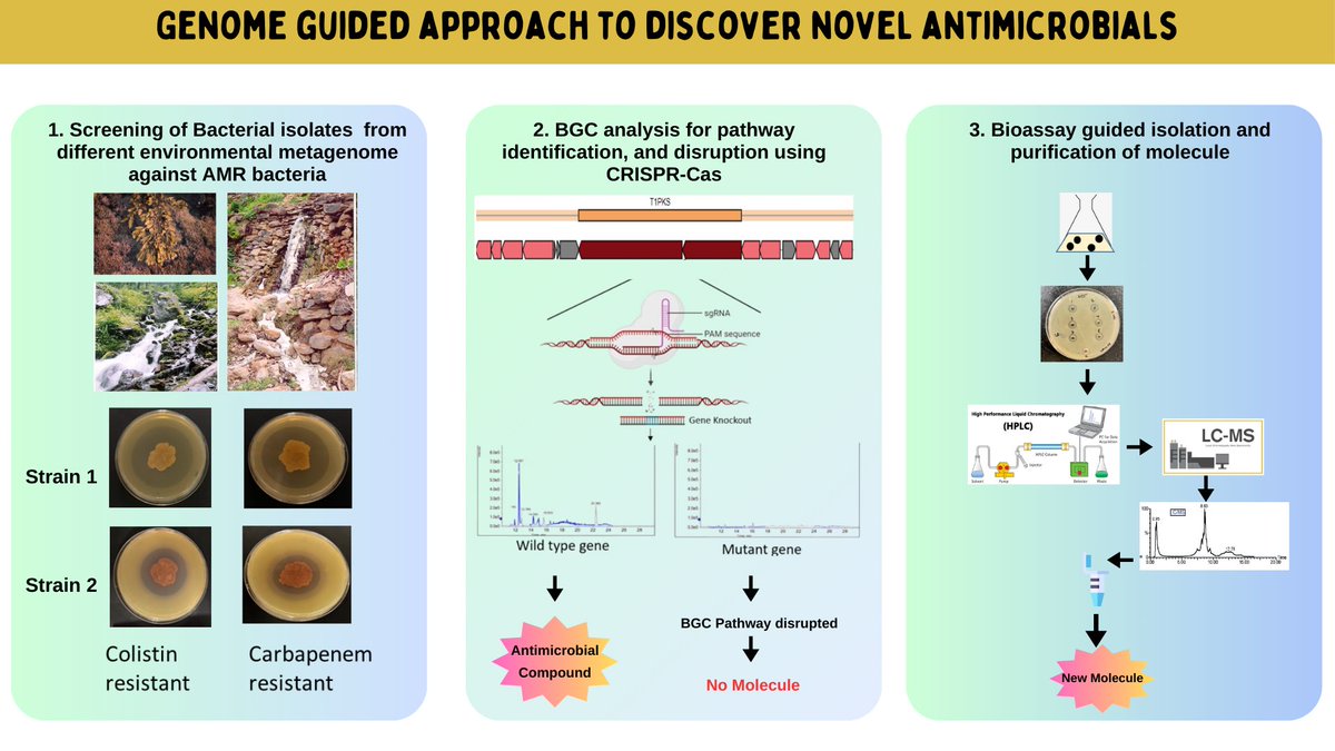 Saraswati Awasthi tweet media