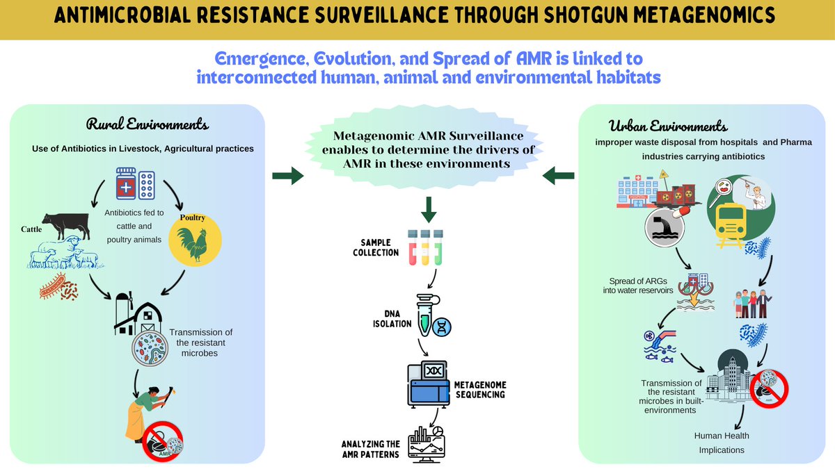 Saraswati Awasthi tweet media