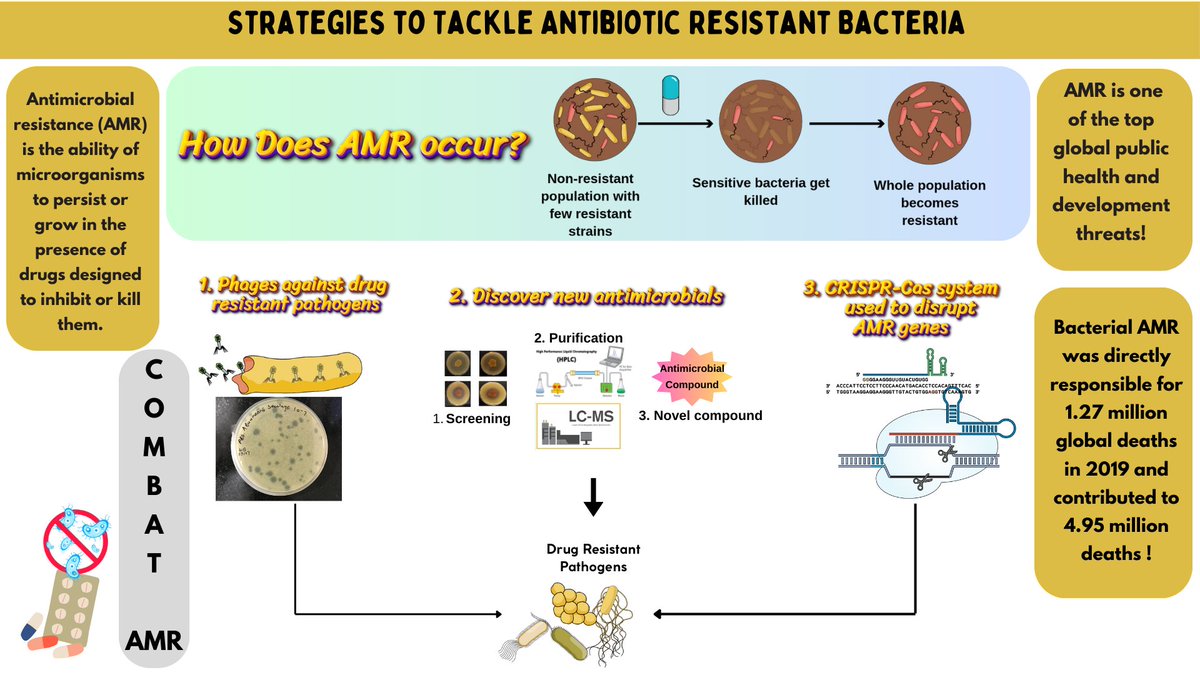Saraswati Awasthi tweet media