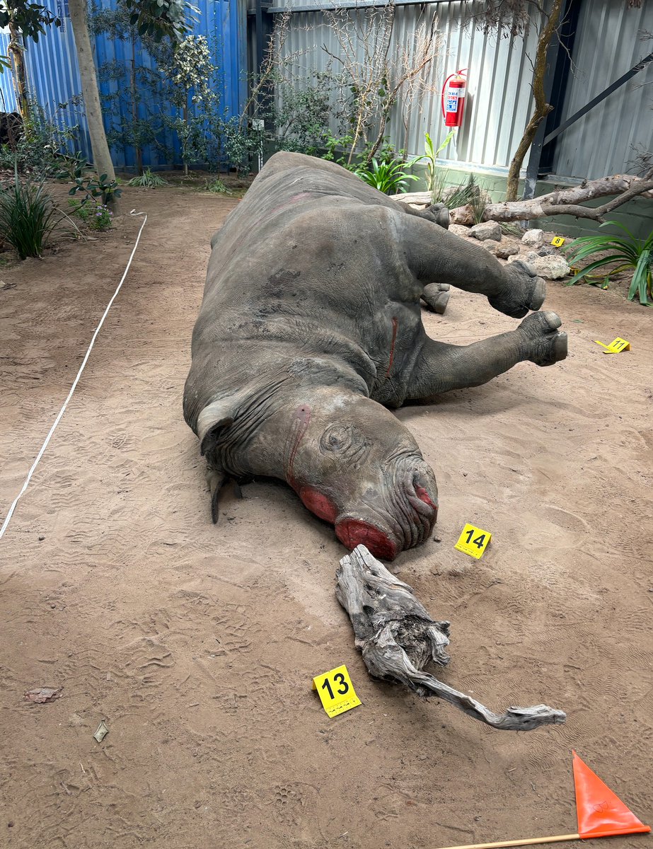 FabLabBU's tweet image. Had a fantastic time visiting the Wildlife Forensic Academy where they provide training in documenting, investigating, and testifying in poaching crime scenes--really important and one-of-a-kind work wildlifeforensicacademy.com