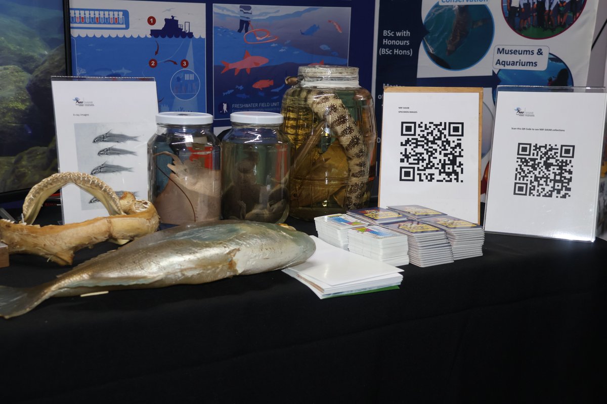 This year's theme, "Living in a High-Tech World: Should We Be Concerned?" dives into the role of cutting-edge technology in our lives. 🔬💡
If you're in the area, come see the advanced technology we use for our research!