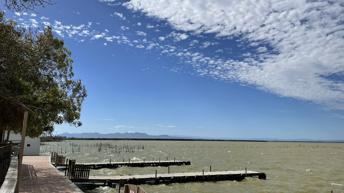 batidivulga's tweet photo. No podía finalizar estos días de Geomorfología Litoral en #GEOLIT24 @CGAT_UPV sin visitar unos de nuestros #humedales más importantes: la Albufera. Qué grata sorpresa!
#AlbuferadeValencia https://t.co/O1nEn2bLVk